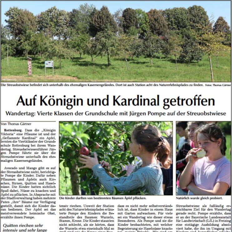 LAZ König